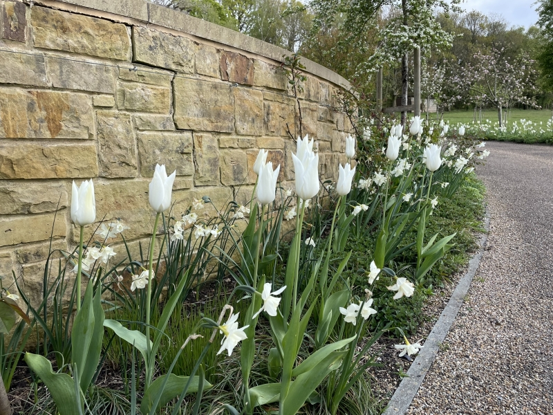 Quarry Wood Farm & Tilsmore Vineyard